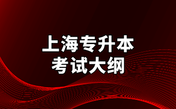 2025年上海立达学院专升本《程序设计基础》考试大纲